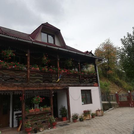 Отель Casa Cozorici Садова Экстерьер фото
