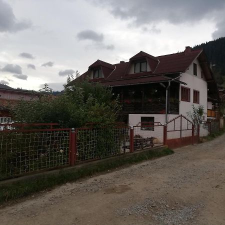 Отель Casa Cozorici Садова Экстерьер фото
