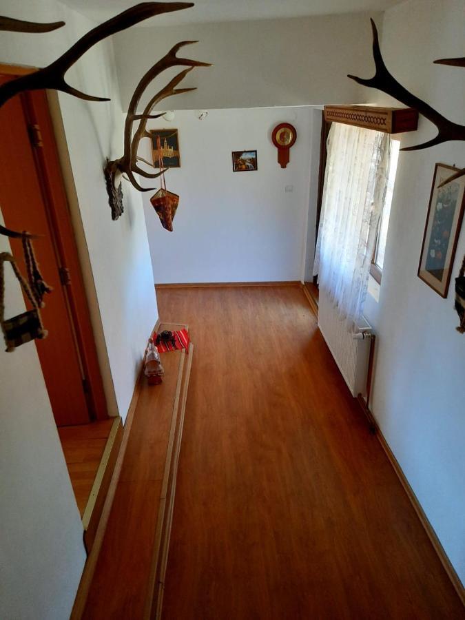 Отель Casa Cozorici Садова Экстерьер фото