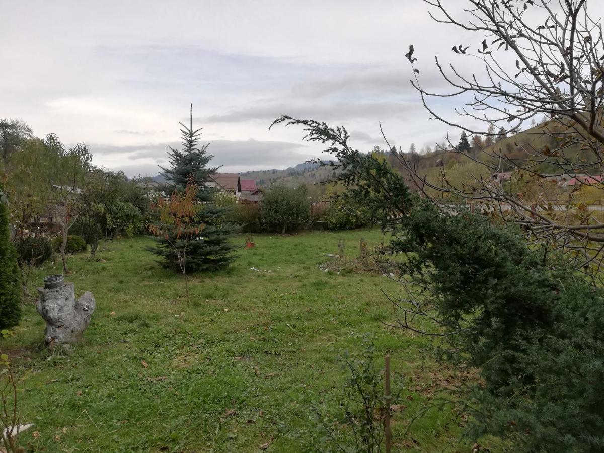 Отель Casa Cozorici Садова Экстерьер фото